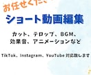 テロップとカットで、見やすいショート動画にします あなたのサービスでしか得られない喜びを実現します。 イメージ1