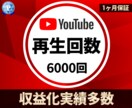 YouTube再生回数6000★収益化実績あります 100再生からお振り分け可能★+6000～+3万回をご提供 イメージ1