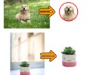 画像・写真の加工の作業を承ります Photoshop であなたの作業を引き受けます。 イメージ2