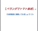 ベランダでの水耕栽培でトマト栽培のお話しをします 水耕栽培に興味があって、実際に挑戦してみたいと思っている方！ イメージ1