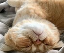 発達障害の方のコミュニケーションのお悩み聴きます ADHD、発達障害の方へコミュニケーションの不安に安心感を イメージ4