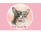 はがきサイズでペットの表情を水彩で可愛く描きます お顔アップで魅力倍増！ふんわり水彩アート イメージ5