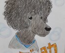 大好きな愛犬の似顔絵を描きます 暖かみのある色づかいで優しい感じに仕上げます。 イメージ3