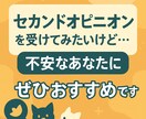 セカンドオピニオンの前の情報整理を一緒にします 獣医師が第三者視点で意見・情報提供します イメージ2