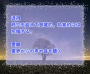 誘導瞑想・ヨガニードラ☆あなたの魂に触れます 霊能師が提供。潜在意識にアクセス☆自分のソウルの体験 イメージ10