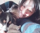 仕事や人生の愚痴聞きます 40〜50代の独身男性、家飲みしながら愚痴など話しませんか？ イメージ1