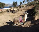 ボリビア旅行の注意点・ローカル情報など教えます ネットで探してもわからない、そんな情報も現地からお答え! イメージ3
