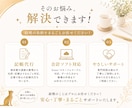 記帳代行【丸投げOK】＋会計サポートします 面倒な記帳、丸ごとお任せください イメージ3
