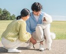 誕生日や記念日、旅行やペットの思い出を動画にします 大切な思い出を形にしてプレゼントしませんか イメージ2