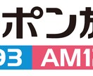 プロの野球解説者があなたのためだけに徹底解説します あなたのすぐそばで！in 神宮球場 イメージ3