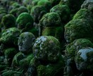あなたの運命の人だけが持っている特徴を視ます なぜか頭から離れない相手はいませんか イメージ10