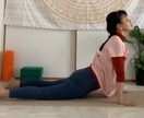 自宅でオンラインヨガのプライベートレッスンできます 老若男女問わず、ワンツーマンであなたの為のヨガ指導が可能です イメージ1