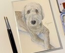 世界に一つの原画、かわいいペットの似顔絵描きます 肖像画のようなリアルな絵を飾りませんか？ イメージ4