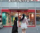 バズる！ショート動画を作ります 映像制作のプロがショート動画を作ります！ イメージ3
