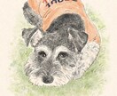 ペット似顔絵お描きします お写真からぬくもりのある水彩風似顔絵に仕上げます イメージ2