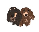 あなたのわんちゃんかわいいイラストにします ゆるっとわんちゃんのイラスト制作させていただきます！ イメージ7