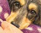 豊富な人生経験を味方にご相談のります 親身に相談、悩み、愚痴お聞きしアドバイスいたします イメージ1