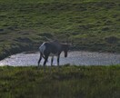 15カ国旅した世界中の写真提供します 他の国もたくさんあるので是非お声掛けください。 イメージ4