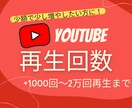 あなたの YouTube 再生回数増やします 再生回数+500〜2万回増えるまで世界中に拡散！ イメージ1