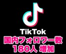 TikTok 国内フォロワーを180人増やします SNSの宣伝・拡散はおまかせください！ イメージ1