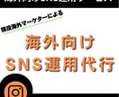 現役海外マーケターが英語でSNS運用致します ニーズに沿った運用方法で海外向けに発信します！ イメージ1
