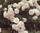 女子中高生の意見や流行を中高生目線でをお伝えします 女子校現役JKがお仕事やプログラム企業開発をお助けします。 イメージ1