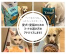 愛犬・愛猫のためのフードの選び方をアドバイスします 「ごはん、これでいいのかな…？」 イメージ1