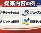 初心者専用｜失敗しないバドミントン道具一式選びます 初心者専用｜最適な道具一式選びます イメージ4