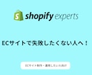 Shopifyでお困りの事の改善策をご提案します Shopifyについてお力になれればと思い出品いたしました! イメージ1