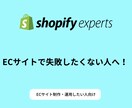 Shopifyでお困りの事の改善策をご提案します Shopifyについてお力になれればと思い出品いたしました! イメージ1