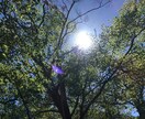 心のモヤモヤ吐き出してください。3分でもお聞きます 海外在住で経験豊富な私が、どんな話も優しくお聞きます イメージ1