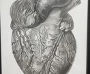 頂いた写真から鉛筆画でリアルな似顔絵をお描きします 思い出をデータとしてだけでなく実物を手元に残してみませんか？ イメージ8