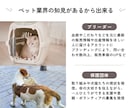 丸投げ【モニター価格】ペットのSNS運用代行します ペットの譲渡、ブランディングなど理想をペットのプロが叶えます イメージ2