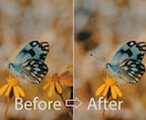 Photoshopで画像や写真の加工を行います 切り抜き、合成なんでもご相談ください。 イメージ4