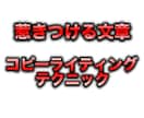 ブログ編・売り上げ爆加速プロジェクト イメージ1