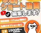 配信者向け！ショートの切り抜き動画作成します 現役配信者が編集！！丸投げオプションあり！！ イメージ1