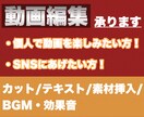 編集ソフトでご要望に沿った動画を編集します 動画素材に合ったご要望のBGMやテキストを挿入します イメージ1