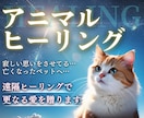 ペット専用☆愛するペットの心と体を癒します 寂しい思いをさせてる…ペットが亡くなった…更なる愛を送ります イメージ1