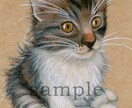 ペット、動物のイラストを色鉛筆で描きます リアルな動物画を色鉛筆で描きます イメージ1