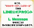 LINE公式アカウント作成もエルメの導入もやります 拡張ツールの導入でより成果につながるLINEに！ イメージ9