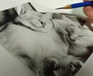 上手な絵を描くコツ、必要な文具をお教えします 写真のような絵を描いてみたい方にオススメ！ イメージ1