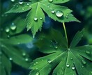 魂の色の輝かせ方☆もっとあなたが輝くことを伝えます リピーター様必見！魂の色の特徴から色の活かし方をアドバイス イメージ6