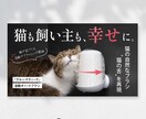 訴求力で目にとまる！バナー・WEB画像を制作します 初心者歓迎★低価格高品質！効果的に伝わる！修正無制限で安心！ イメージ9