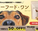 商品やイベントのバナー作成を行います 皆さんが伝えたいことをキャッチしてデザインにします！ イメージ5