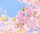 男性限定※日々のお疲れを優しく受け止めます 溜め込まず吐き出して下さいね♪ イメージ4