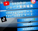 SNS向けショート動画編集代行します 丸投げOK！SNS用ショート動画を丁寧に編集 イメージ1