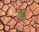 話しにくい、トラウマの消化を手伝います 大小問いません。お試し5分～でも大丈夫です。 イメージ4