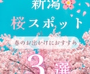 クリックされるSNS画像・バナー1枚デザインします Youtubeサムネ・HPのメインビジュアルなども対応可能！ イメージ3