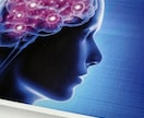 自己診断ツール【脳傾向性診断】の解説を行います 今のあなたの脳のネットワークの活かし方を知ろう! イメージ1