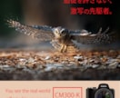 バナー、ヘッダー制作します ヘッダーからバナーまで。なんでも製作します。 イメージ7